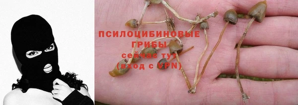 хмурый Волосово