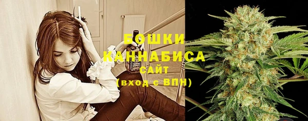 ECSTASY Волоколамск