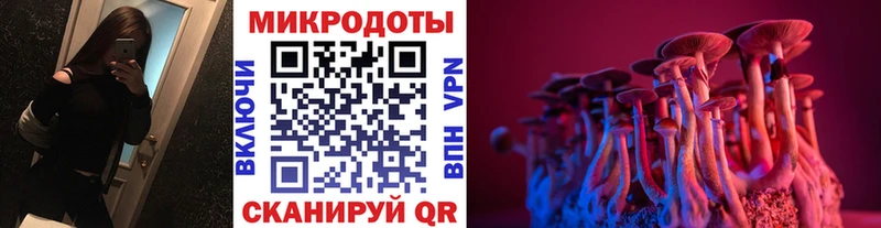 Псилоцибиновые грибы мицелий  Купить где  Унеча 